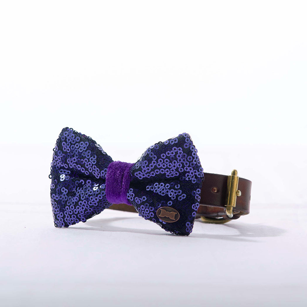 Bette Sequinned Dog Bow Tie | Blue & Purple
