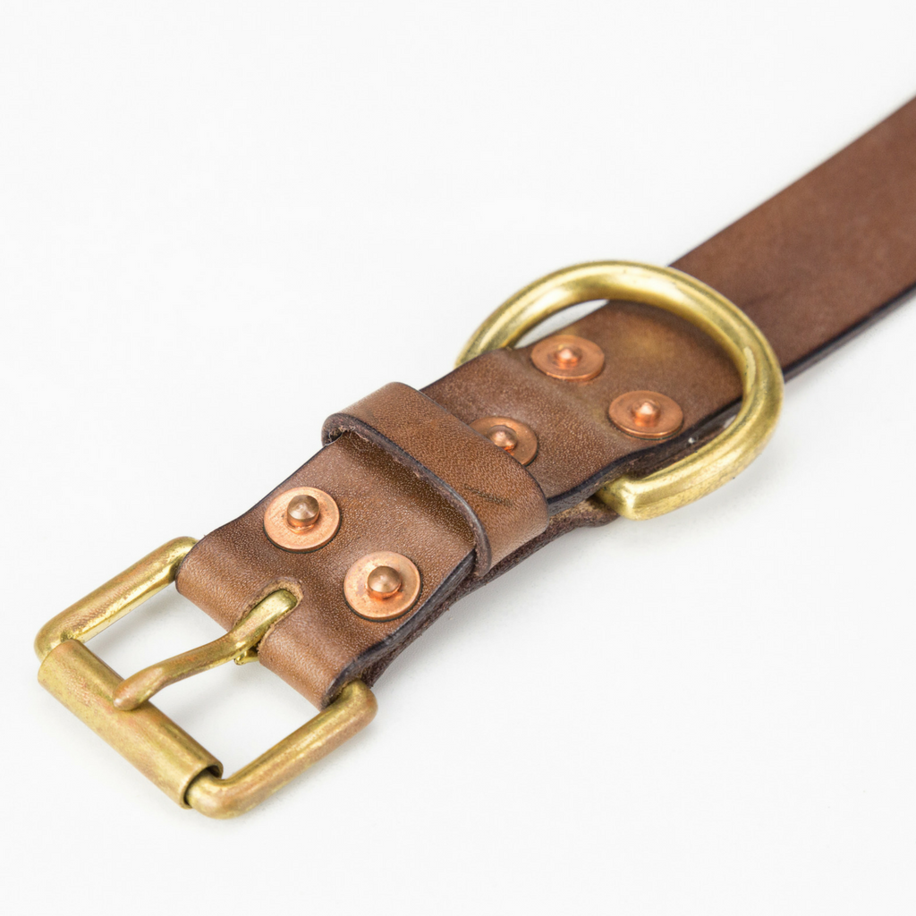 The Beddington Leather Dog Collar