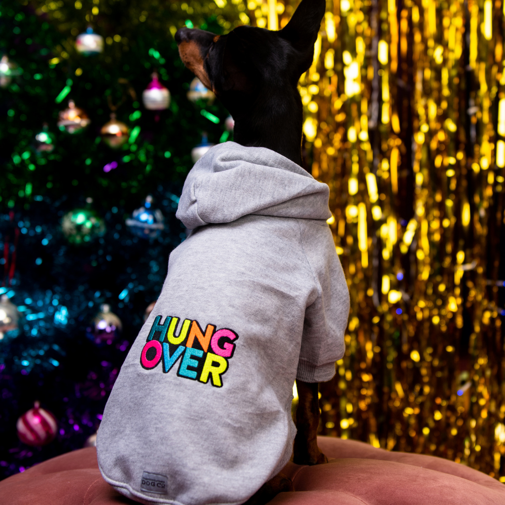 HUNGOVER Slogan Sweatshirt | Dog Hoodie | Grey with Neon Embroidery