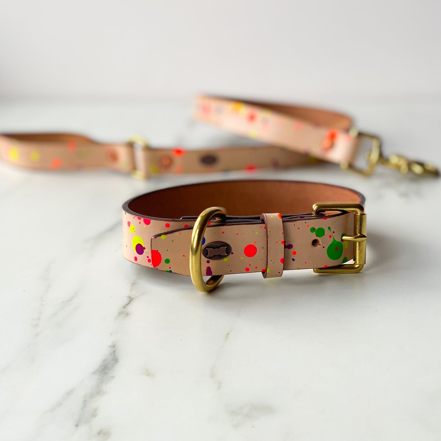 Paint Box Collar | Hand-Painted Leather Dog Collar | Neon