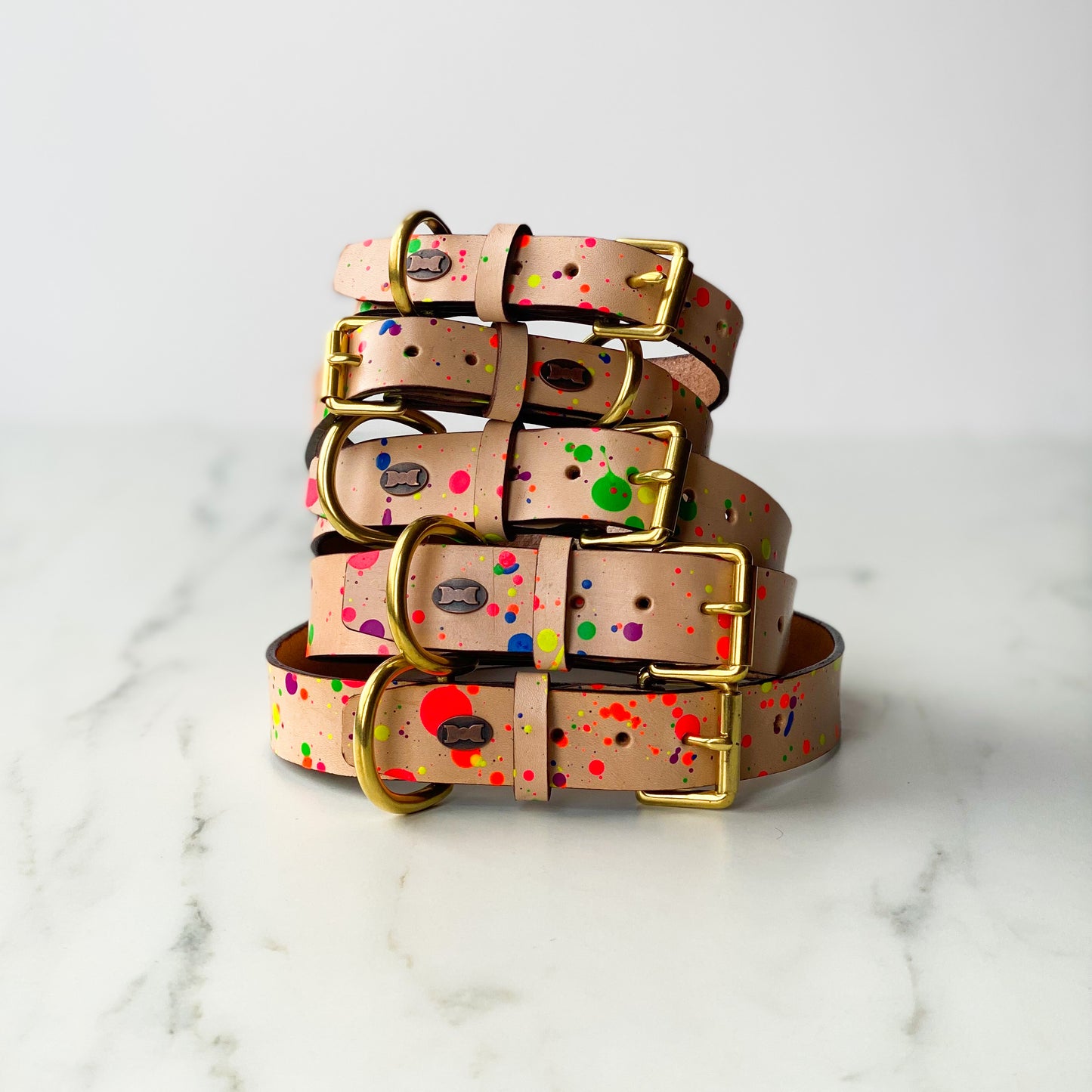 Paint Box Collar | Hand-Painted Leather Dog Collar | Neon