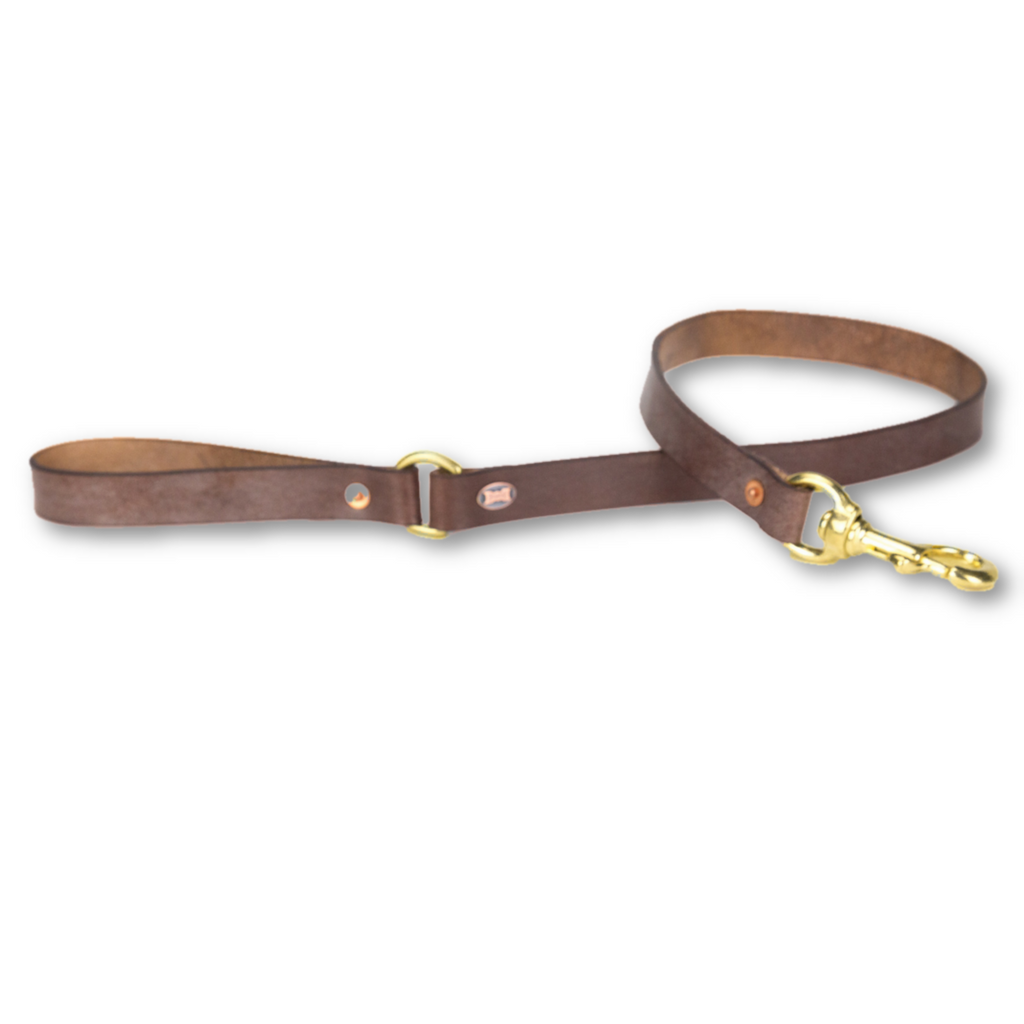 The Beddington Dog Lead