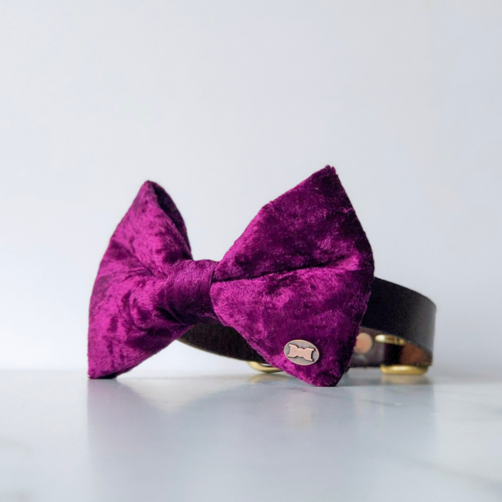 Wine red velvet dog bow tie in large