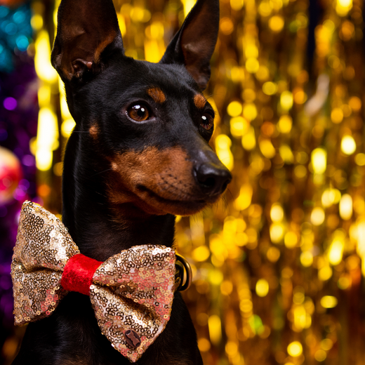 Sequin Bow Ties