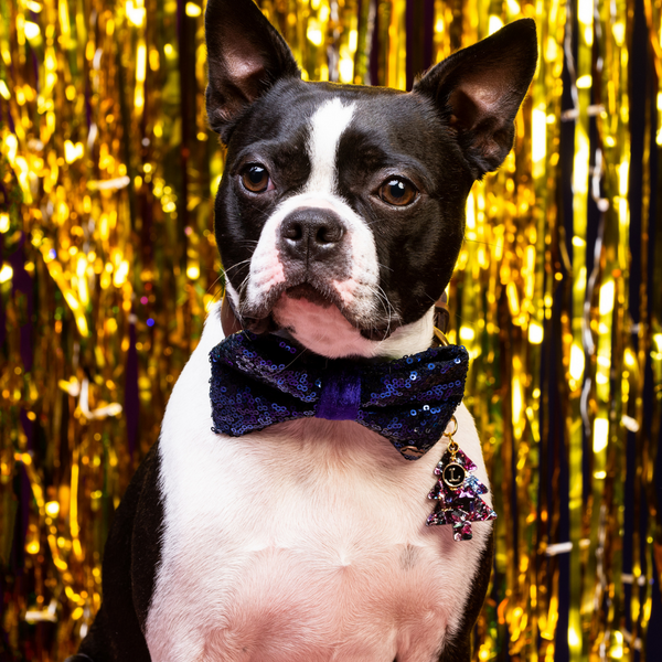 Christmas Bow Ties