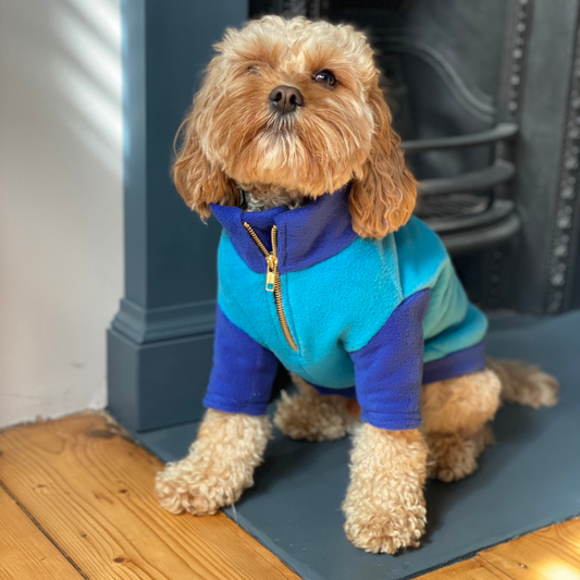 The Gatsby Fleece | Dog Jumper | Blue and Turquoise