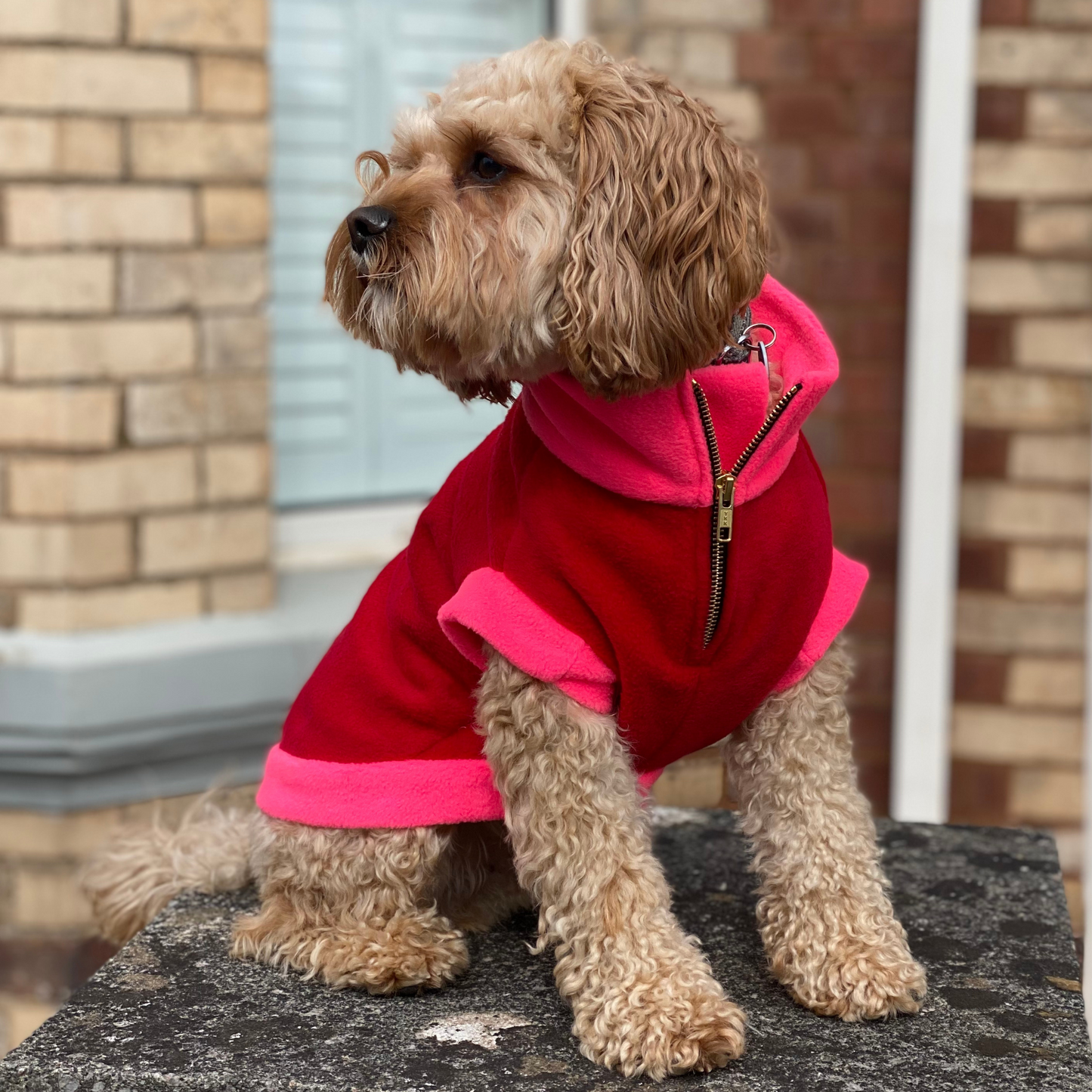 The Gatsby Fleece | Dog Jumper | Red and Pink