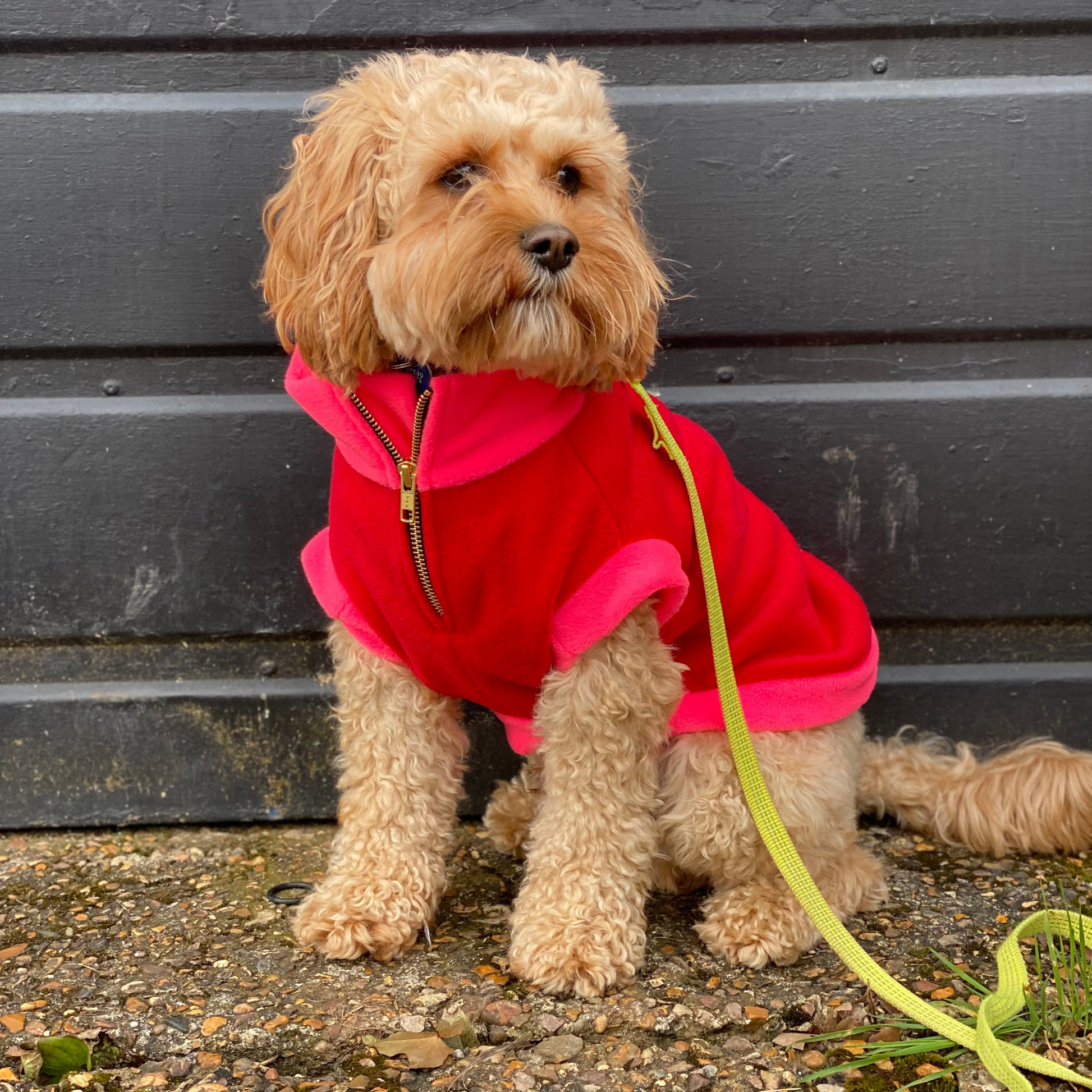 Red shop dog jumper
