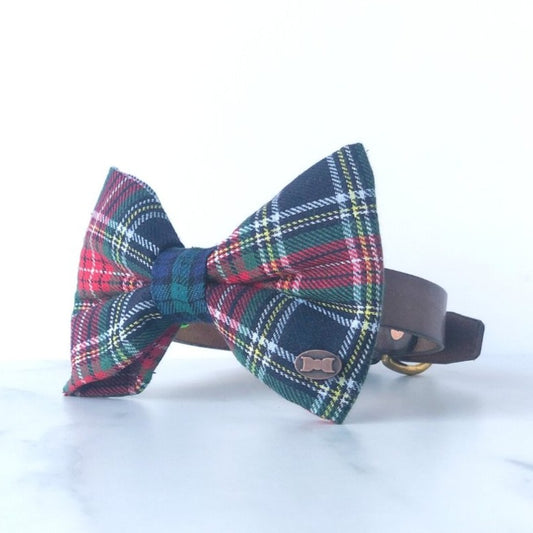 Moray Tartan Dog Bow Tie