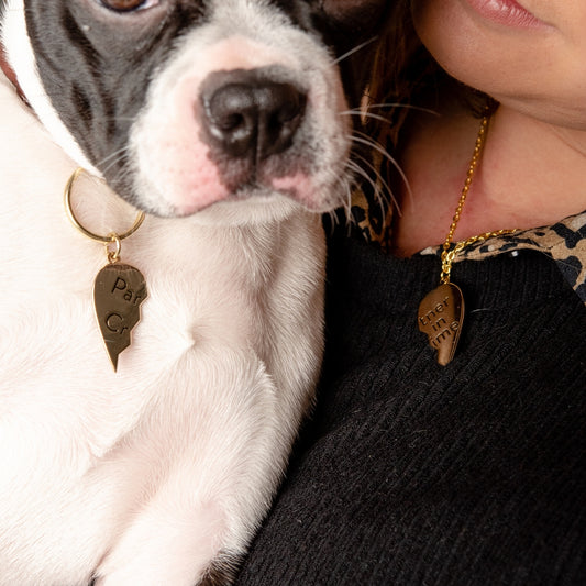 Partner In Crime | Collar Charm and Necklace Set