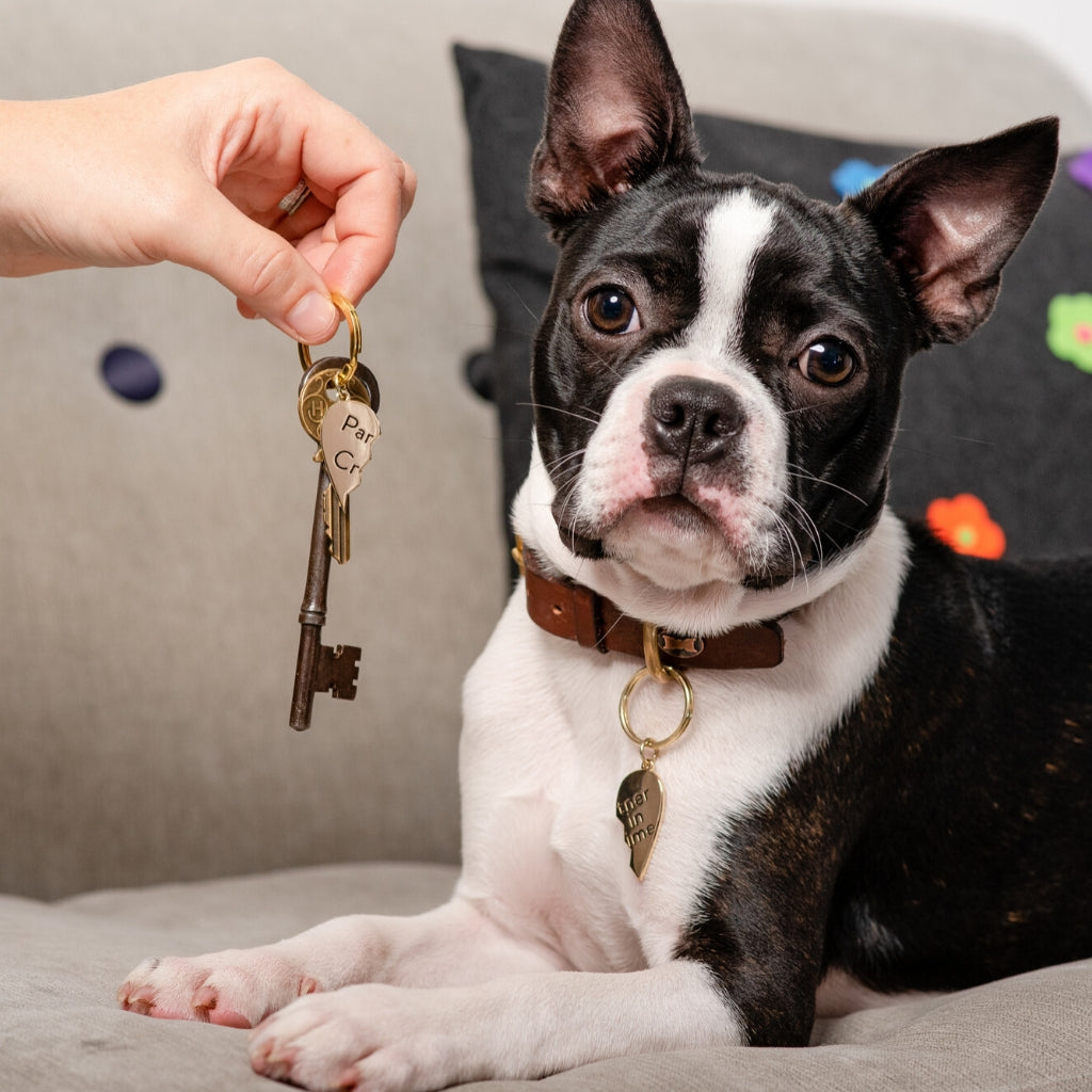 Partner In Crime Collar Charm Set