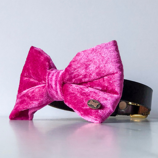 Pink Pop Velvet Bow Tie