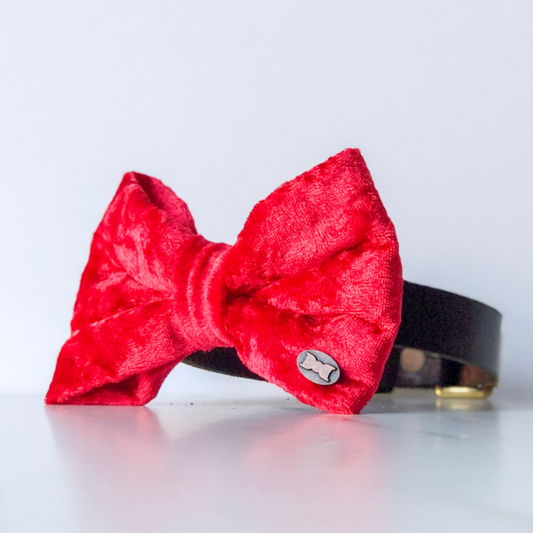 Red Velvet bow tie in large