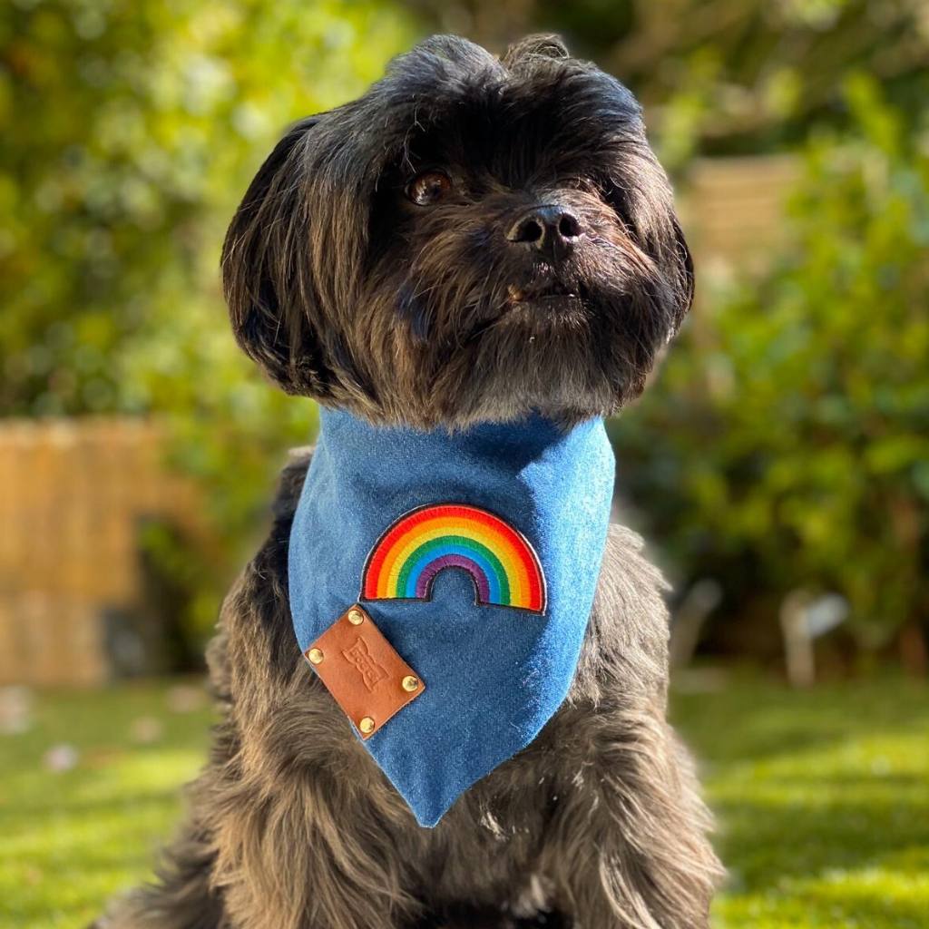 Rainbow Neckerchief