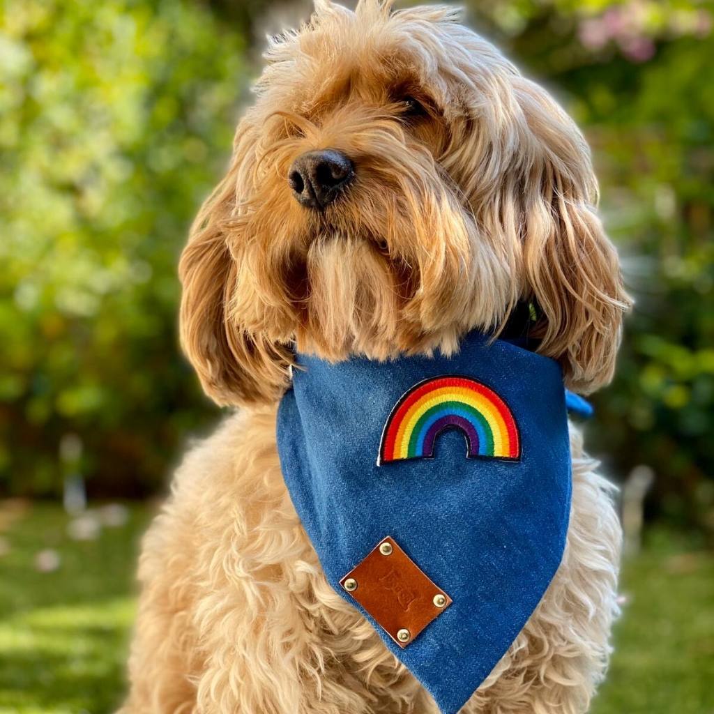 Rainbow Neckerchief