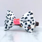 Pinto Neon Satin Dog Bow Tie