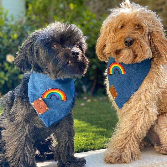 Rainbow Neckerchief