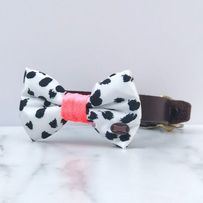 Pinto Neon Satin Dog Bow Tie
