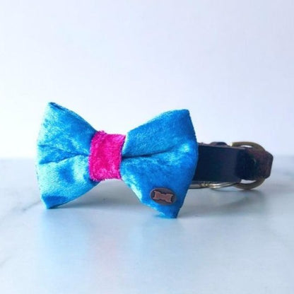 Get Ravey Dog Bow Tie
