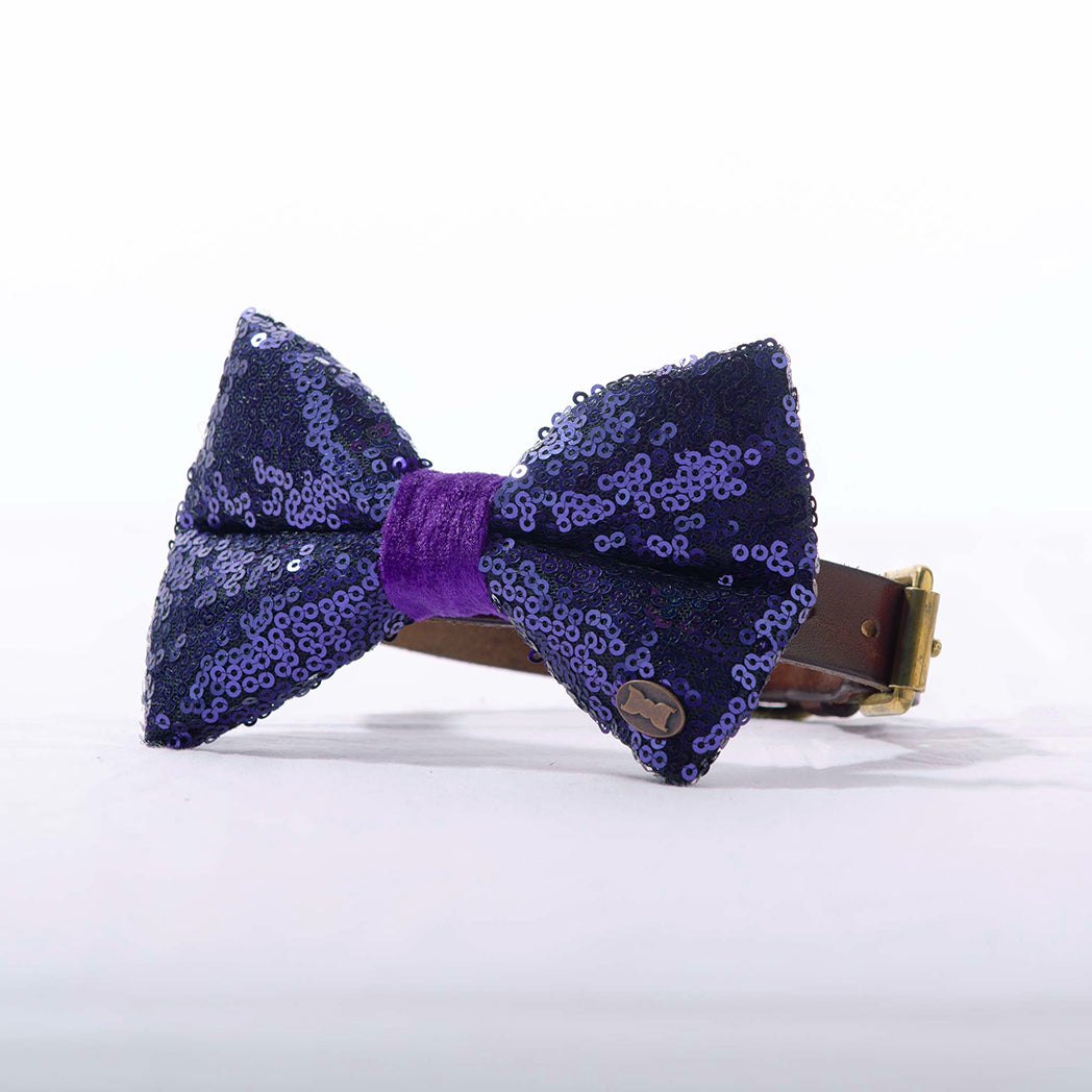Bette Sequinned Dog Bow Tie | Blue & Purple