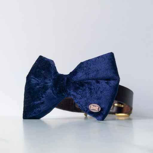 Navy blue velvet dog bow tie in large