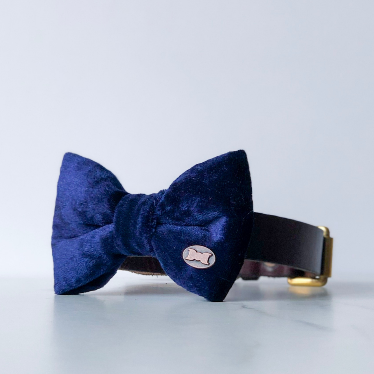 Navy blue velvet dog bow tie in small