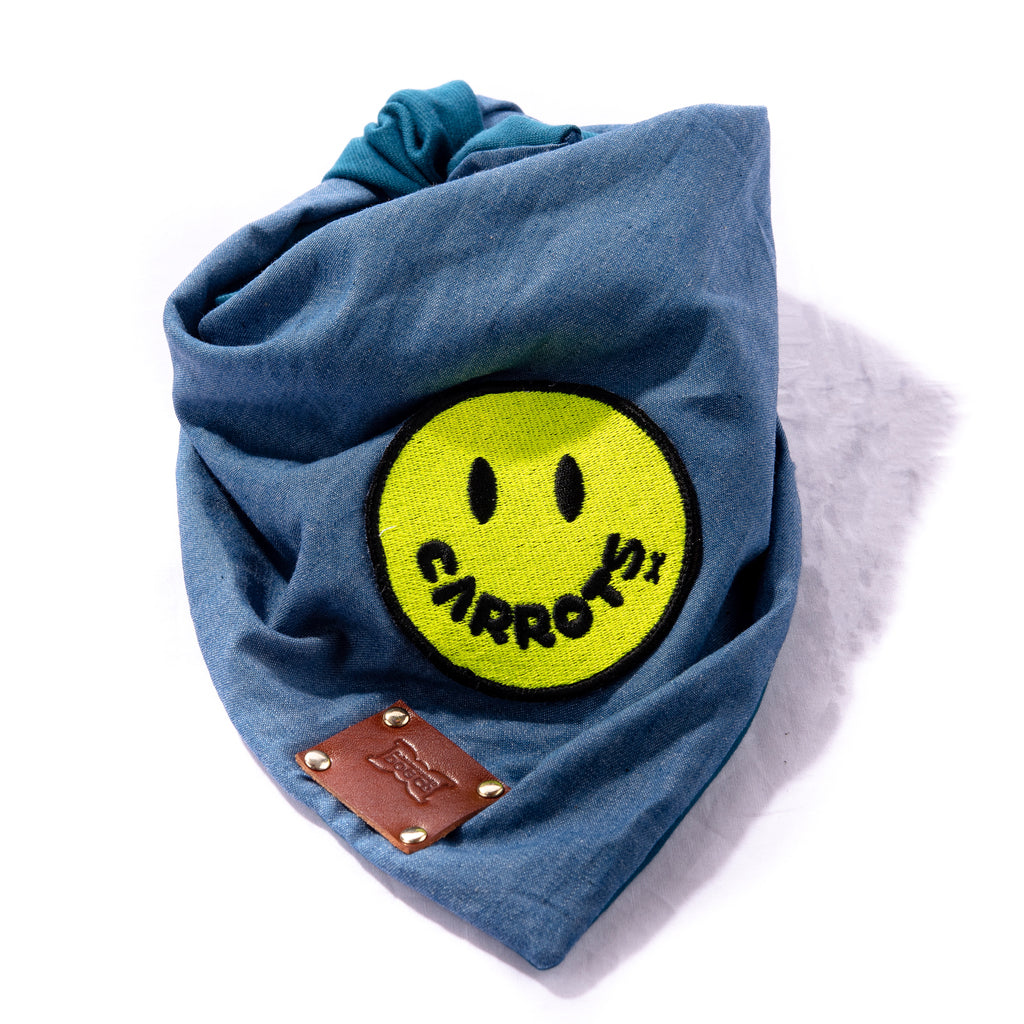 Doggy Smile Dog Bandana Neckerchief - CARROTS