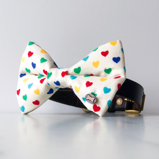 Rainbow heart dog bow tie in large