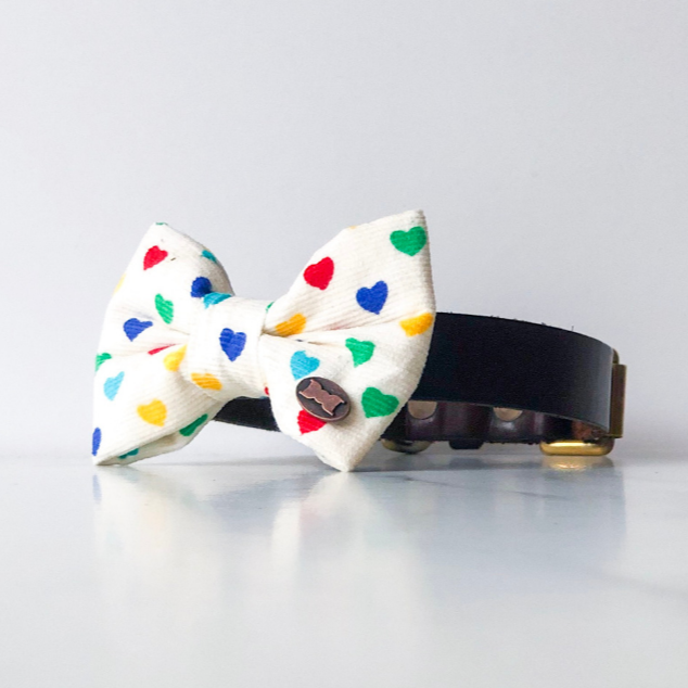 Rainbow heart dog bow tie in small