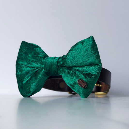 Green velvet bow tie in large