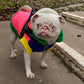 The Gatsby Fleece | Dog Jumper | Multi