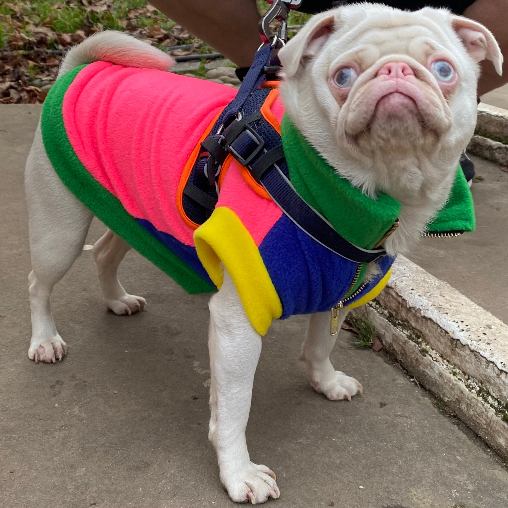 Fleece clearance dog harnesses