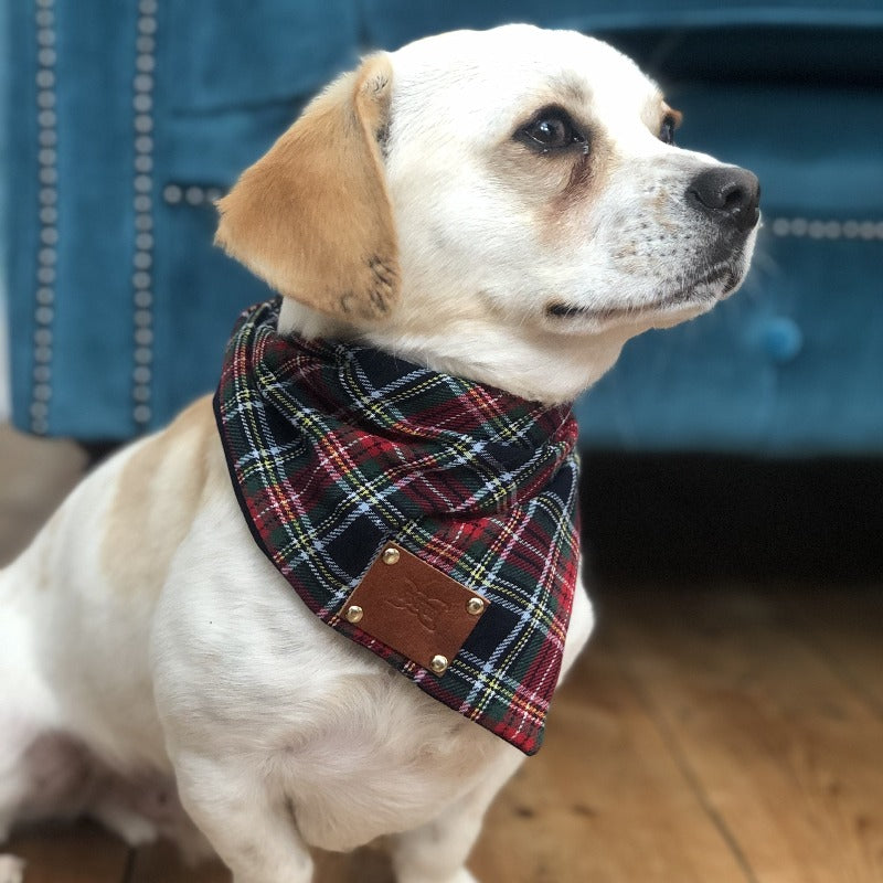 Moray Tartan Dog Bandana Neckerchief