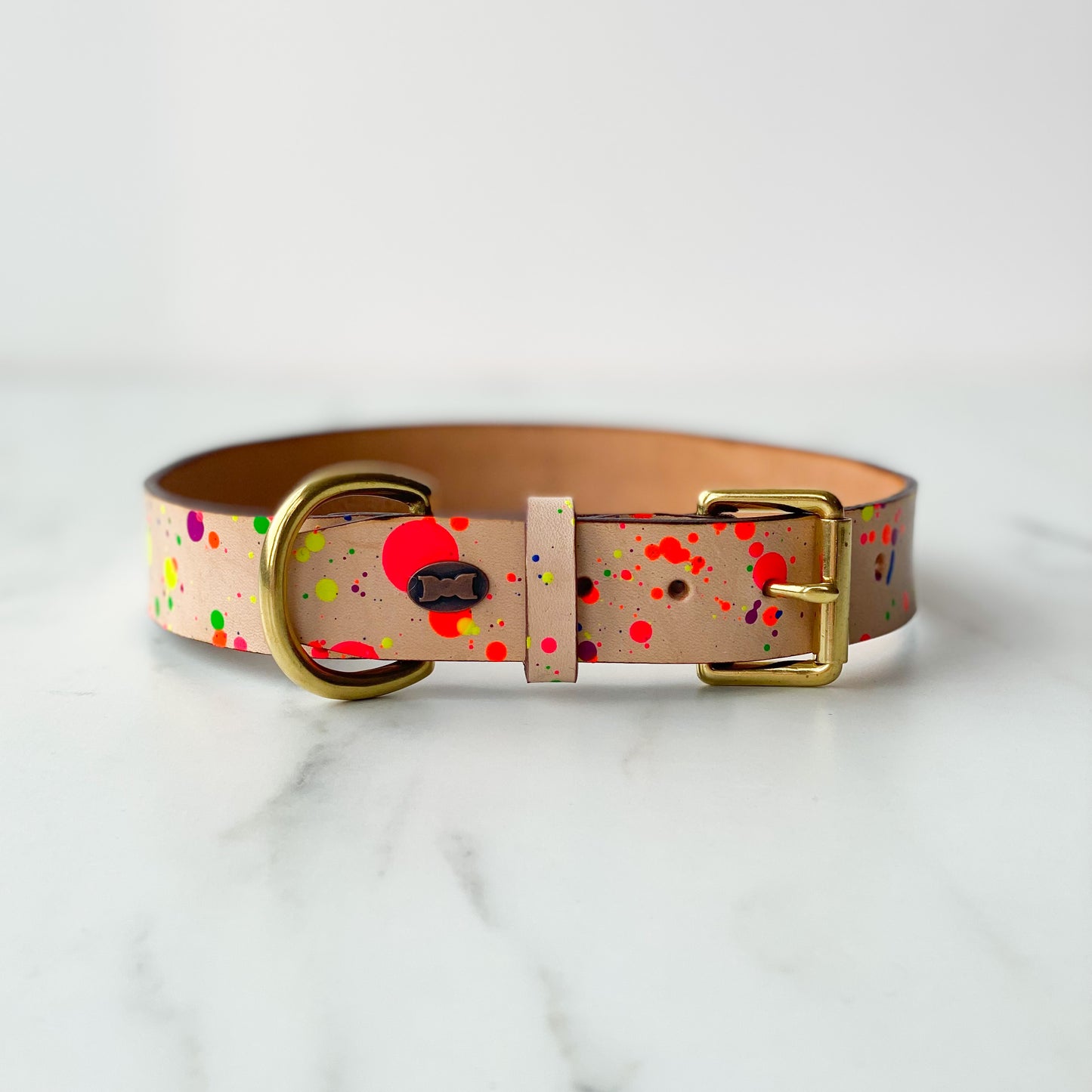 Paint Box Collar | Hand-Painted Leather Dog Collar | Neon