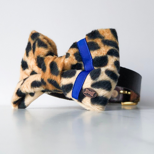 Leopard and blue neon dog bow tie in large