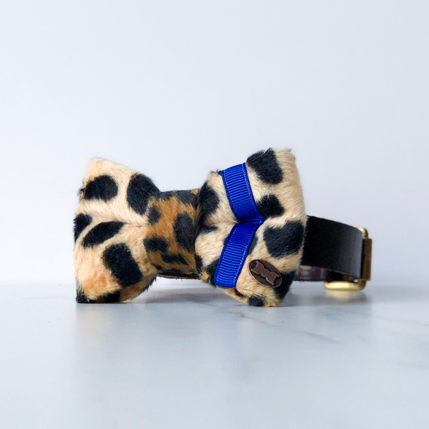 Leopard and blue neon dog bow tie in small