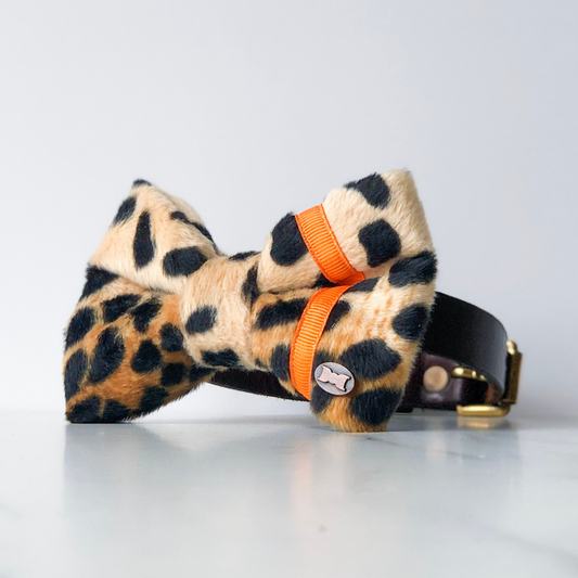 Neon orange and leopard dog bow tie in large