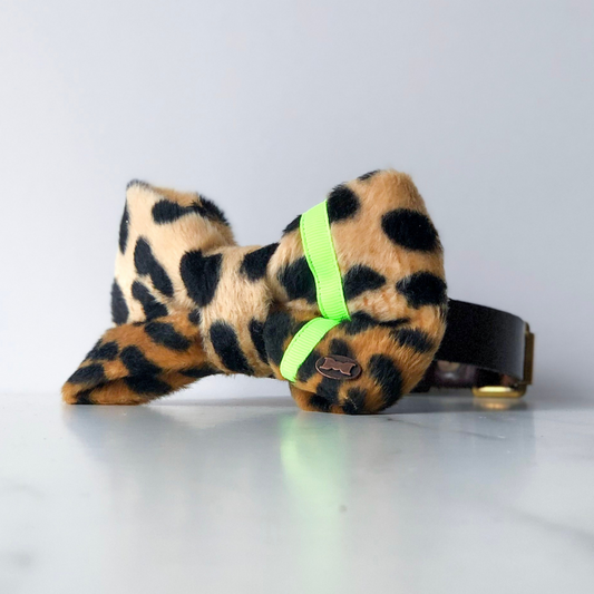 Neon yellow leopard bow tie in large