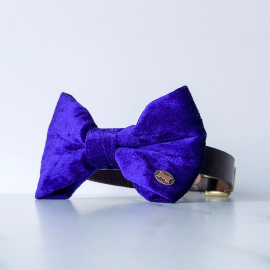 Purple velvet dog bow tie in large