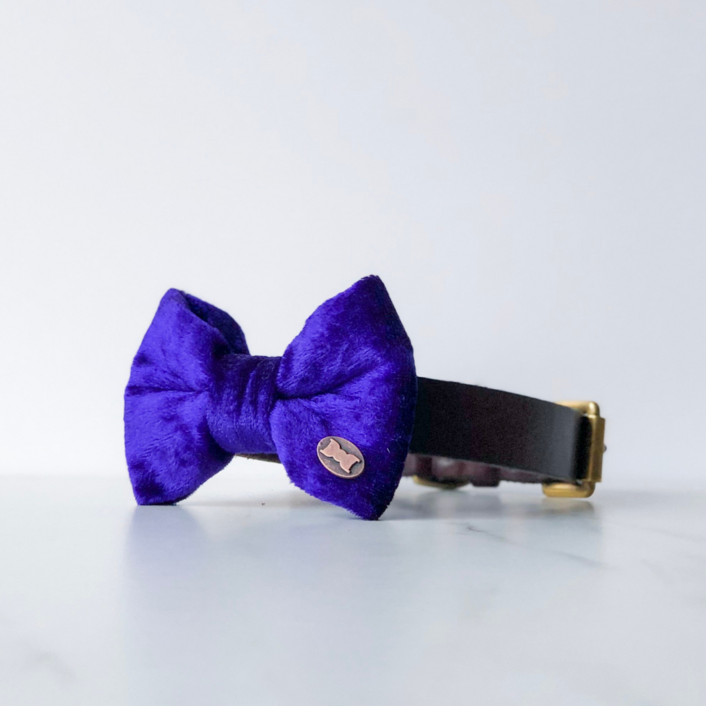 Purple velvet dog bow tie in small