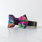 Bette Sequinned Dog Bow Tie | Rainbow