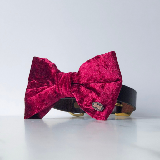 Dark red velvet dog bow tie in large