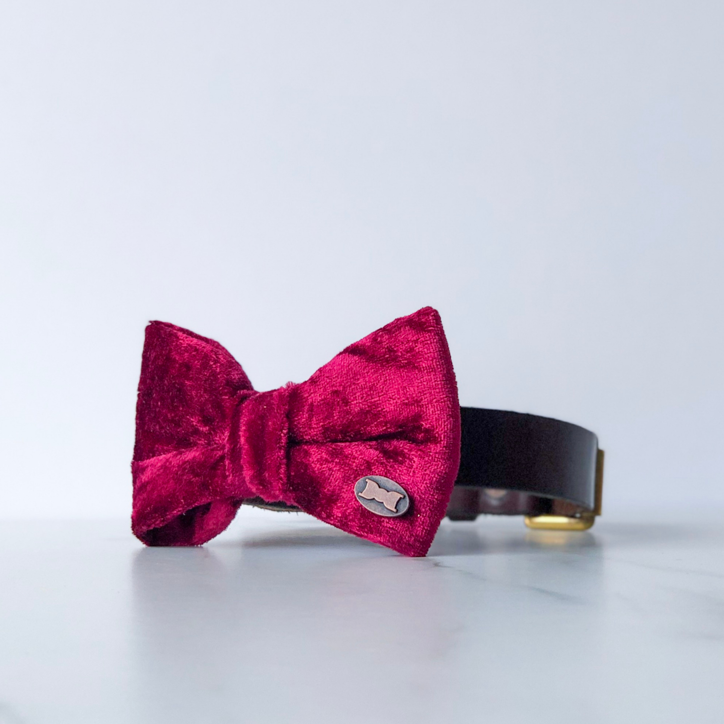 Dark red velvet dog bow tie in small