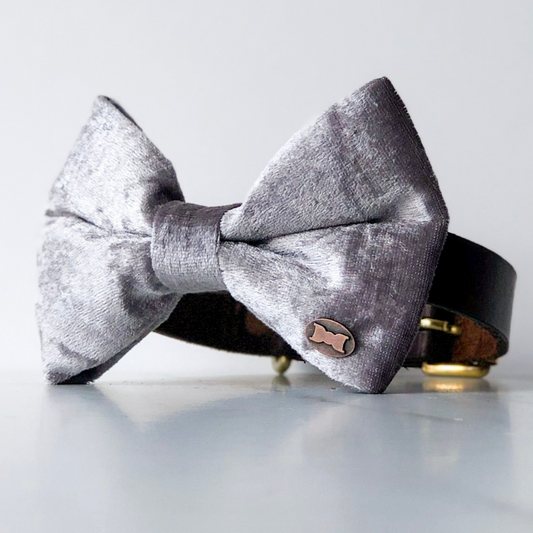 Silver velvet bow tie in large