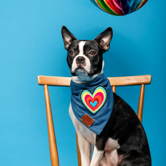 Love Dog Bandana Neckerchief