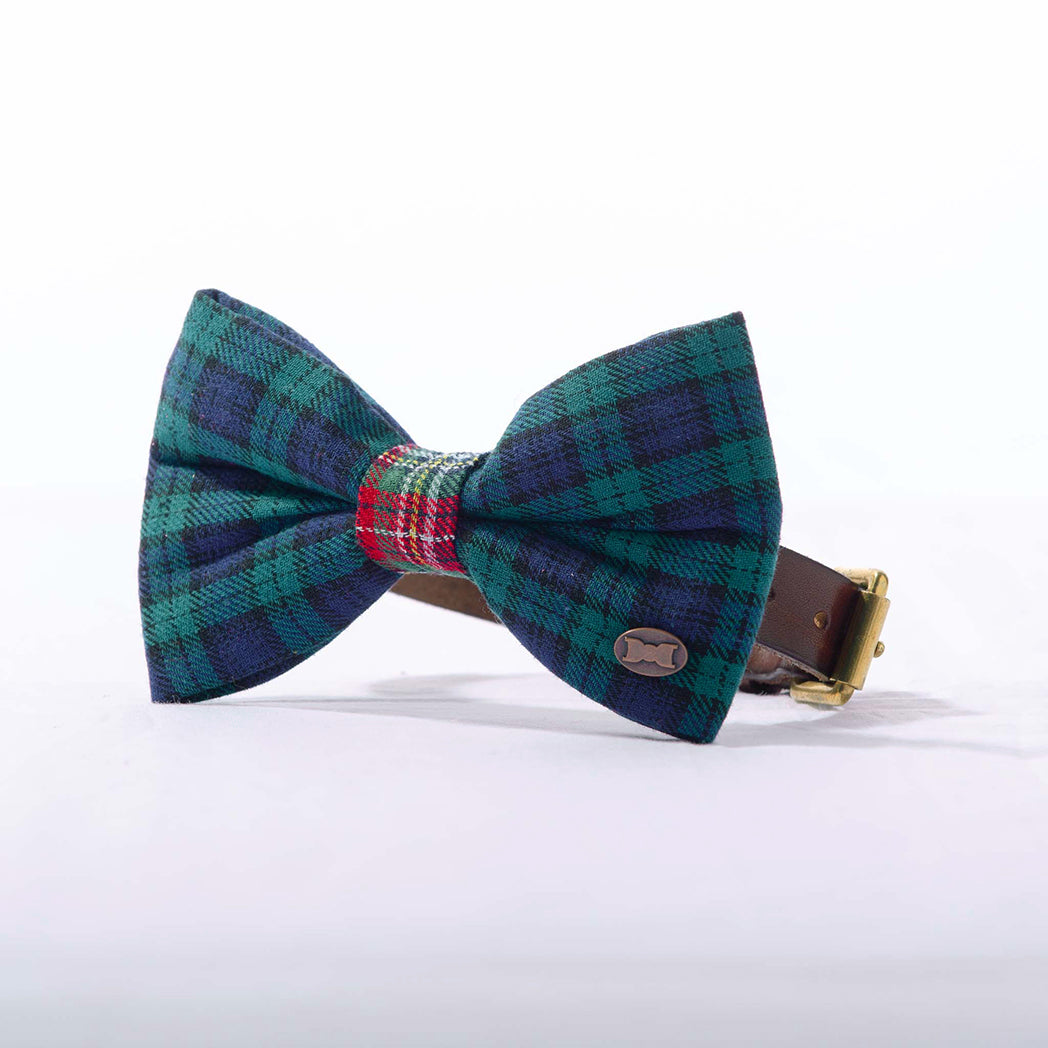 Blue and green tartan bow tie for a dog