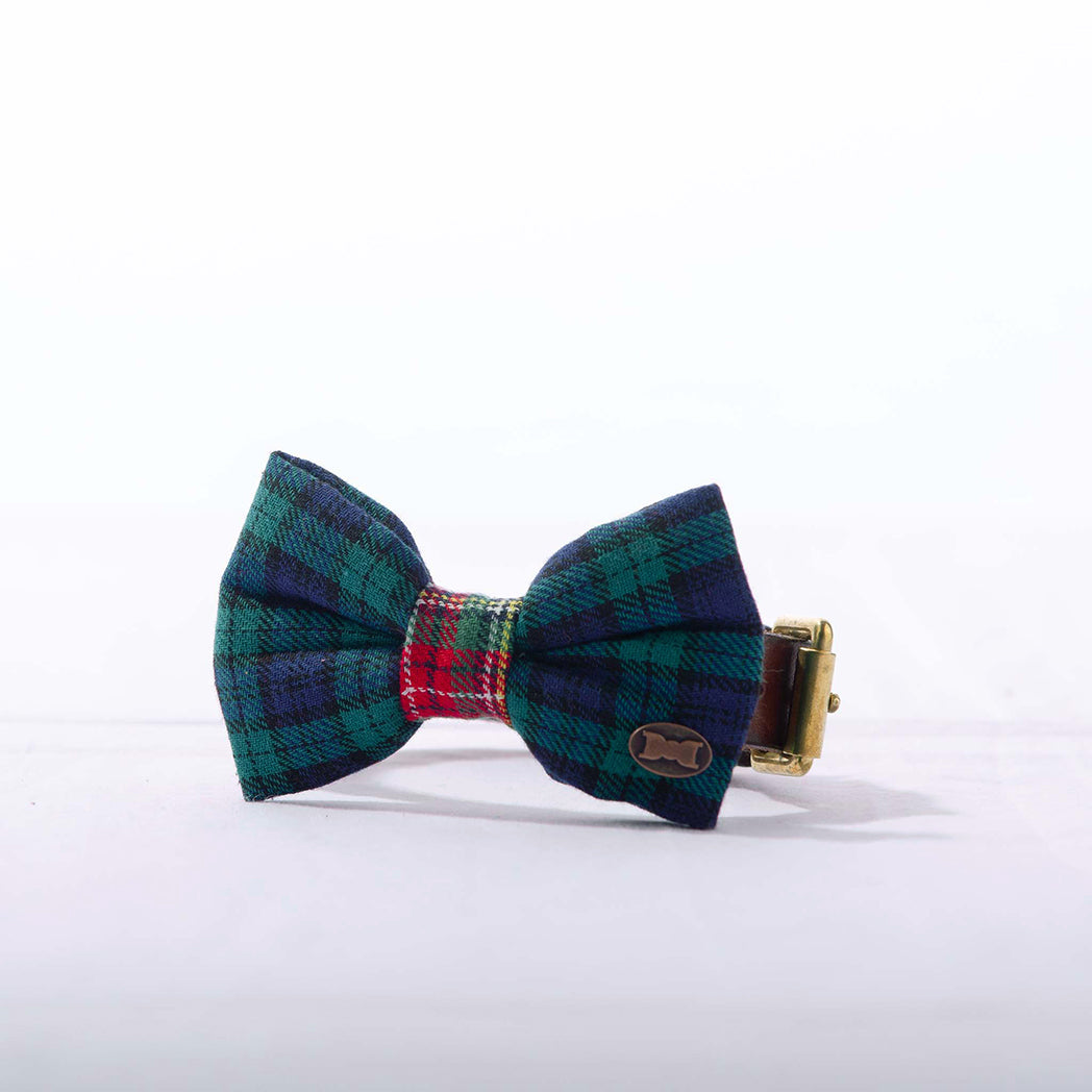 Blue and green tartan dog bow tie in small