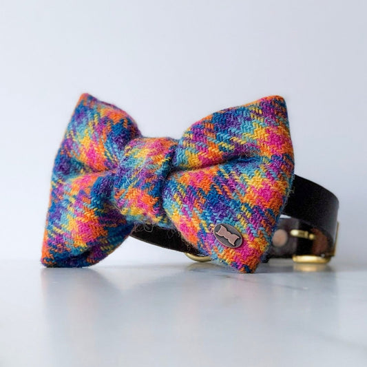 Tandy Rainbow Dog Bow Tie | Harris Tweed