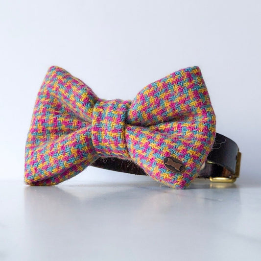 Tutti Frutti Dog Bow Tie | Harris Tweed