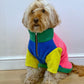 Cockapoo in the Gatsby Fleece dog jumper